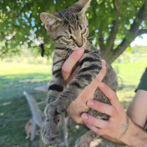 Leo
