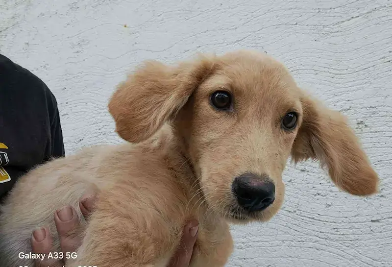 Magdalena - Слика 3